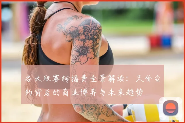 各大联赛转播费全景解读:天价合约背后的商业博弈与未来趋势